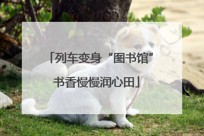 列车变身“图书馆” 书香慢慢润心田